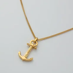 Colliers^PAUL HEWITT The Anchor Collier