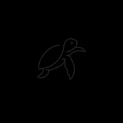 Tatouages Petit | Tatouages Petit^PAUL HEWITT Turtle Tattoo